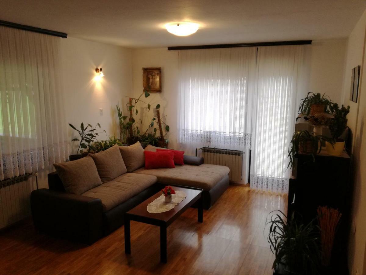 Apartman Kupa-Kolpa Apartment Bosiljevo ภายนอก รูปภาพ